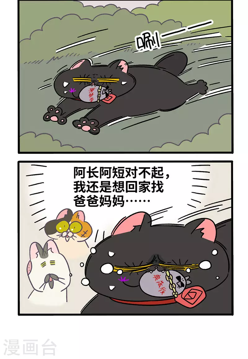 第40话1 老大的危机3