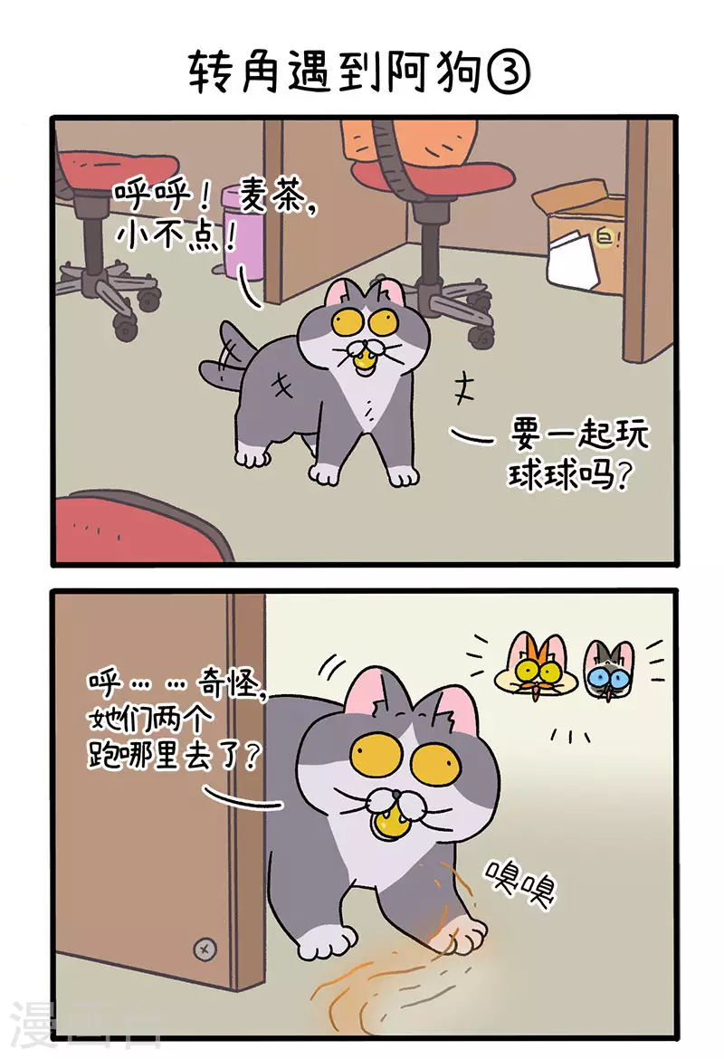 第71话1 转角遇到阿狗3