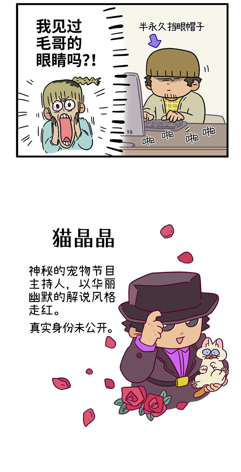 第83话 猫晶晶疑云14