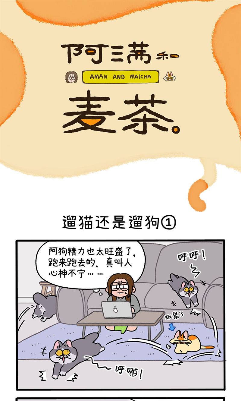 第95话1 遛猫还是遛狗0