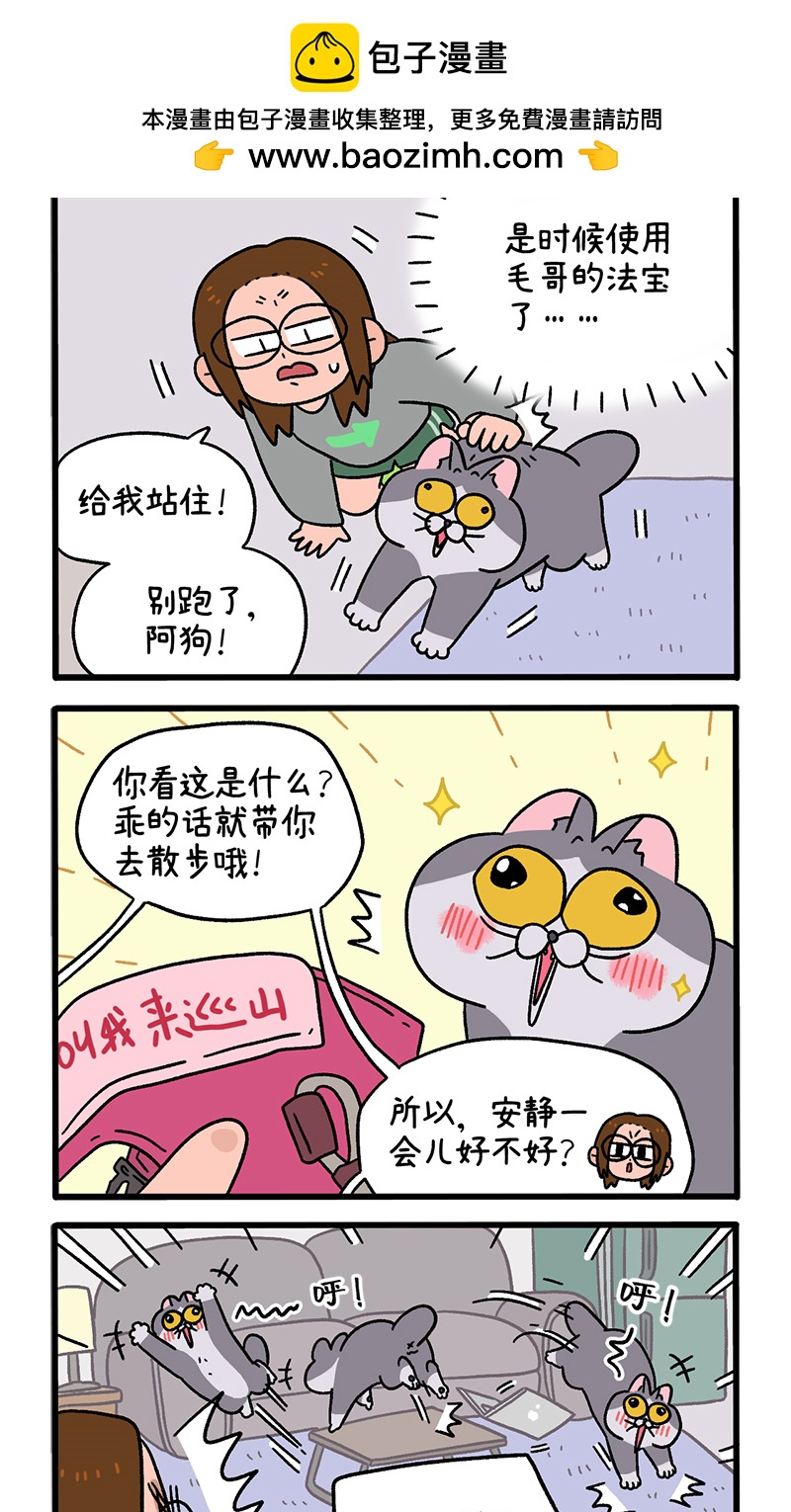 第95话1 遛猫还是遛狗1