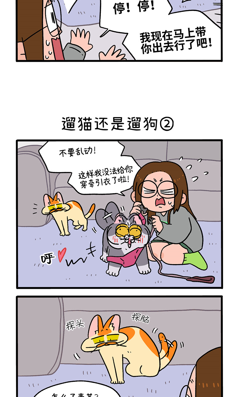 第95话1 遛猫还是遛狗2