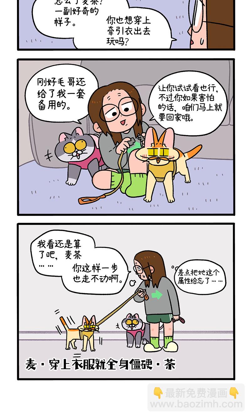 第95话1 遛猫还是遛狗3