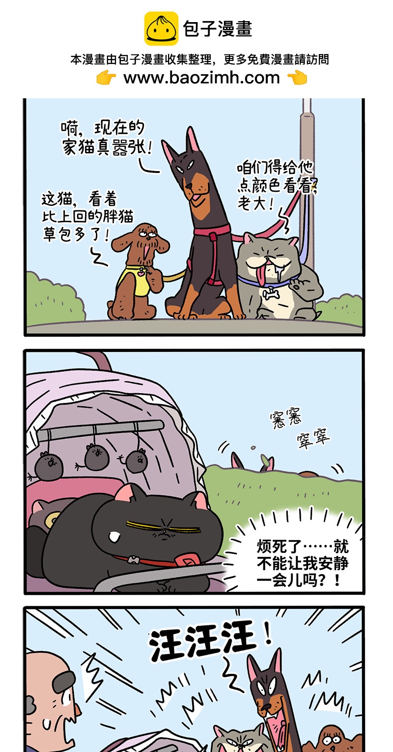 第103话2 球球之魂1