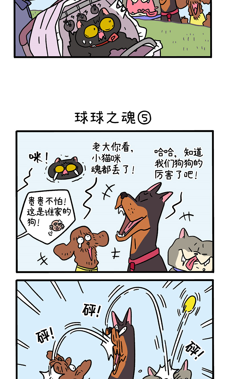 第103话2 球球之魂2
