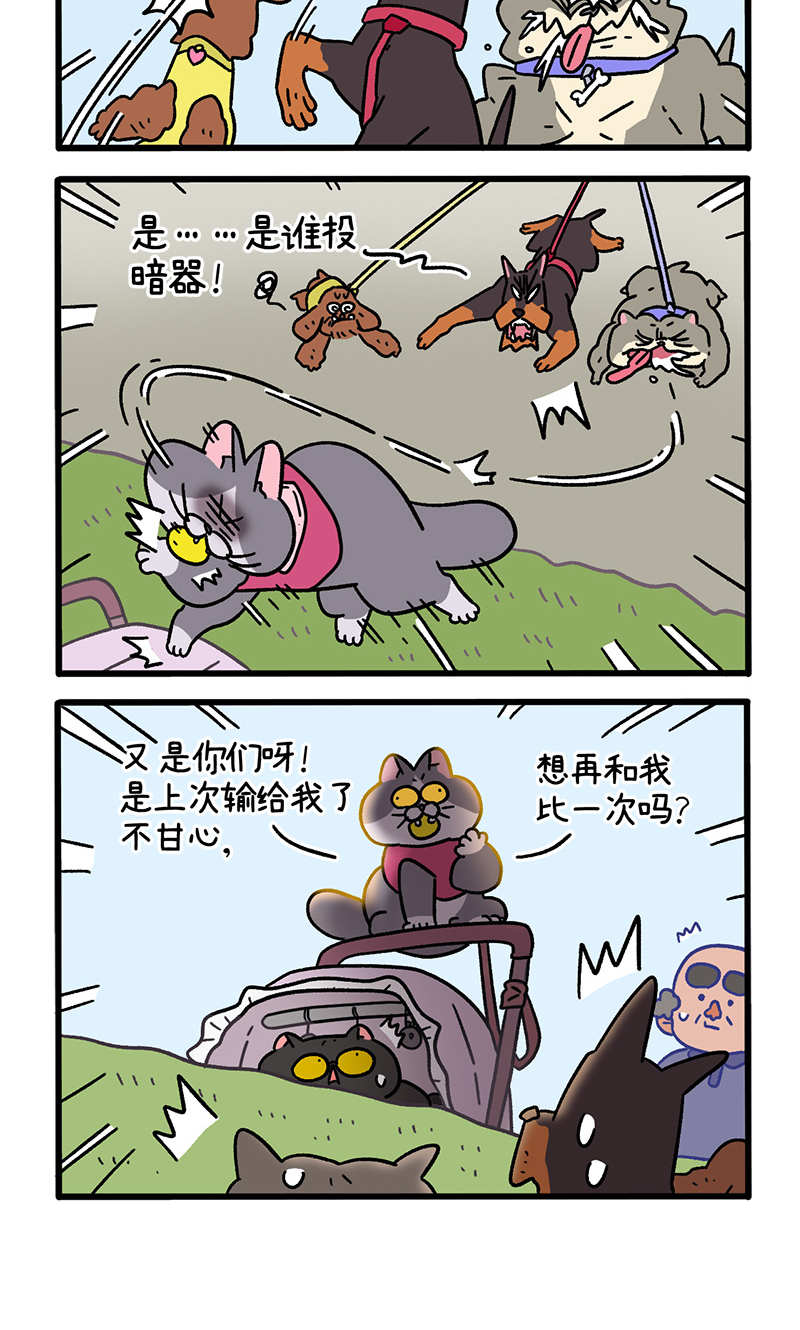 第103话2 球球之魂3