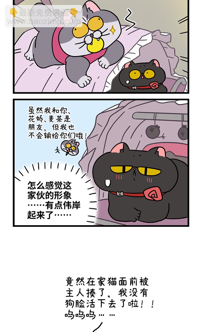 第103话2 球球之魂5