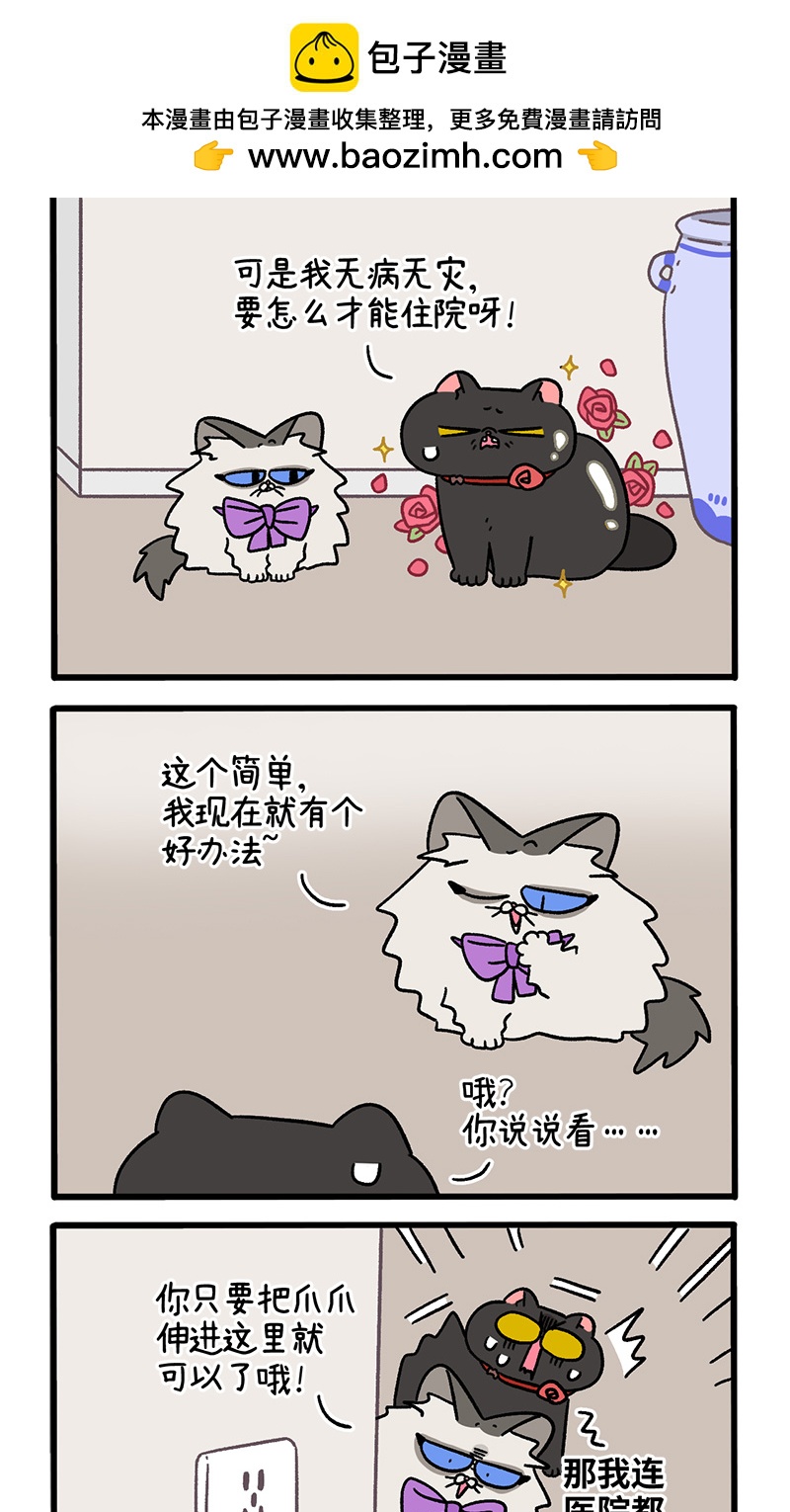 番外23上 富贵花开31