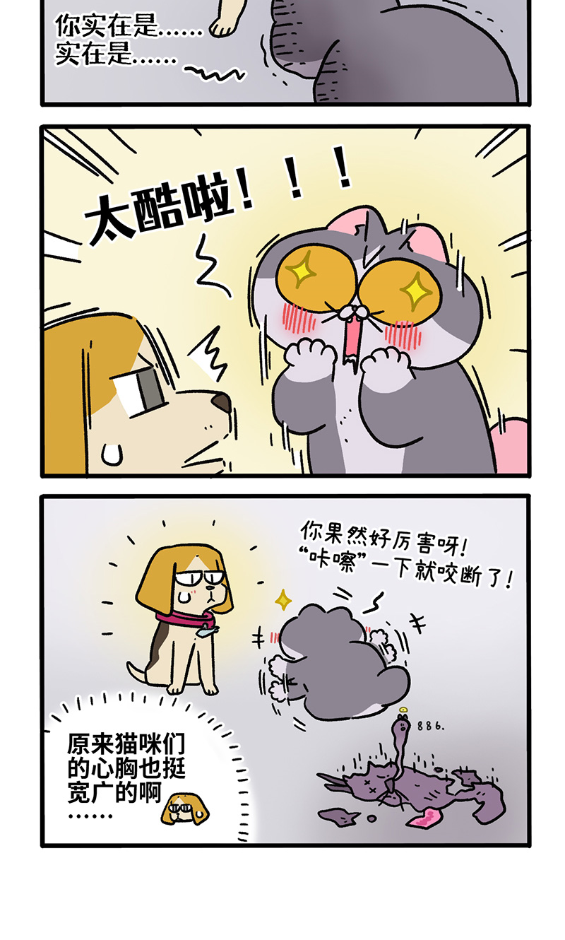 第128话2 关于猫狗是怎么相识的3