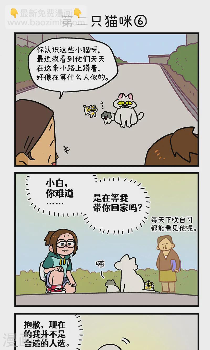 第140话2 第二只猫咪4