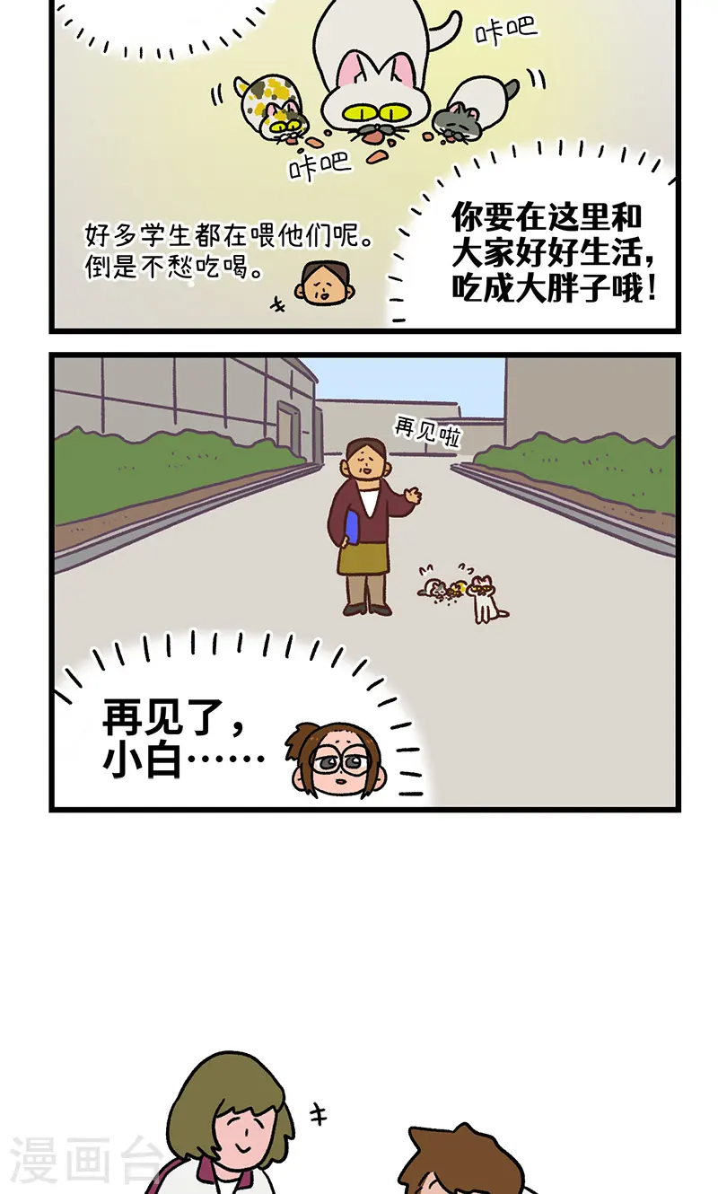 第140话2 第二只猫咪5