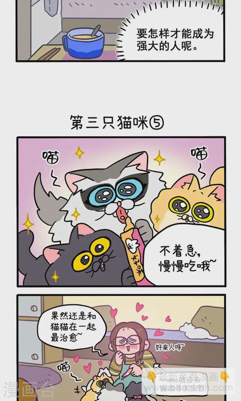 第141话2 第三只猫咪2
