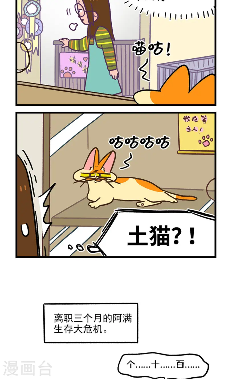 第141话2 第三只猫咪5