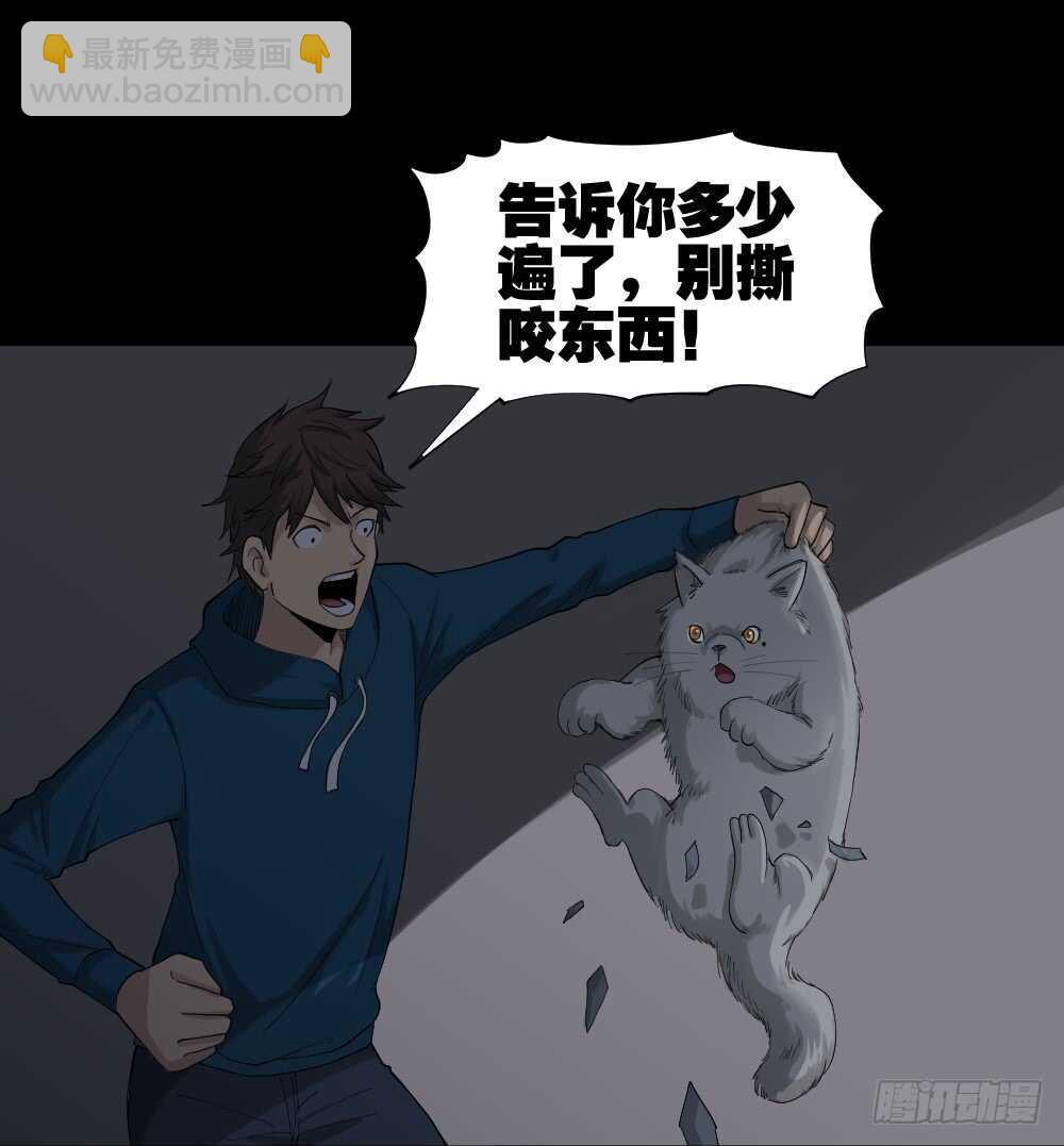 动物妈妈（4）19