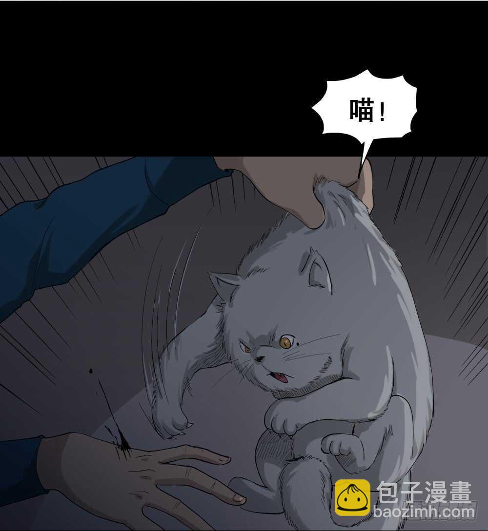 动物妈妈（4）25