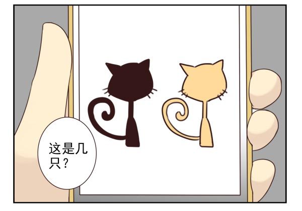 第三季11-12：那只白猫10