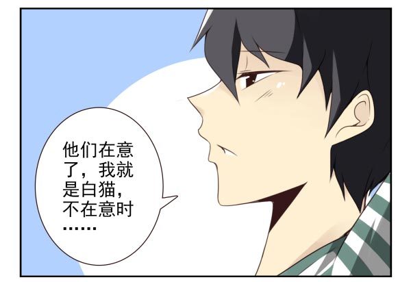 第三季11-12：那只白猫20
