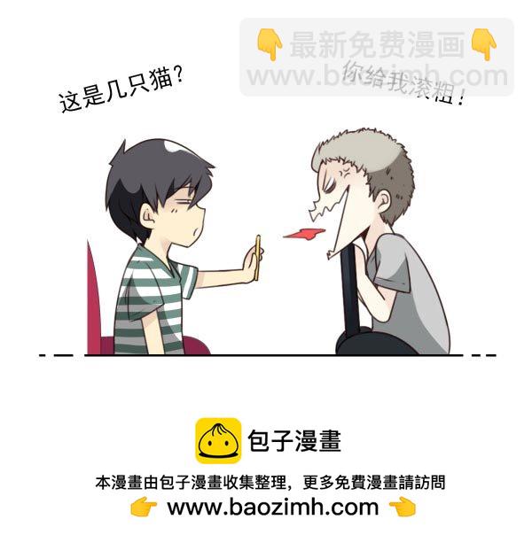 第三季11-12：那只白猫25