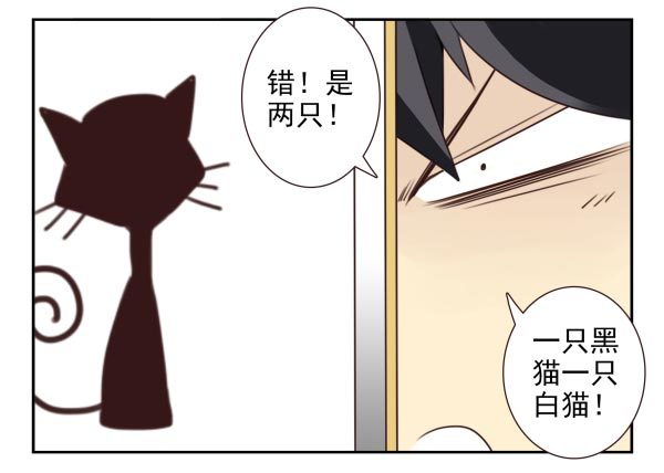 第三季11-12：那只白猫8