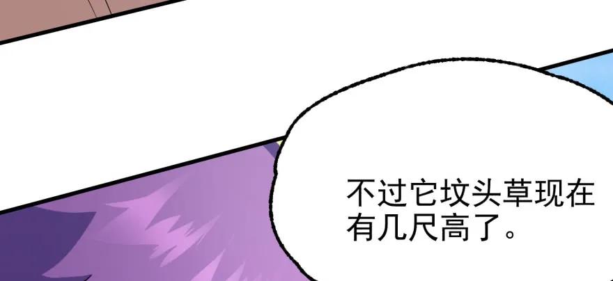 092斗兽132