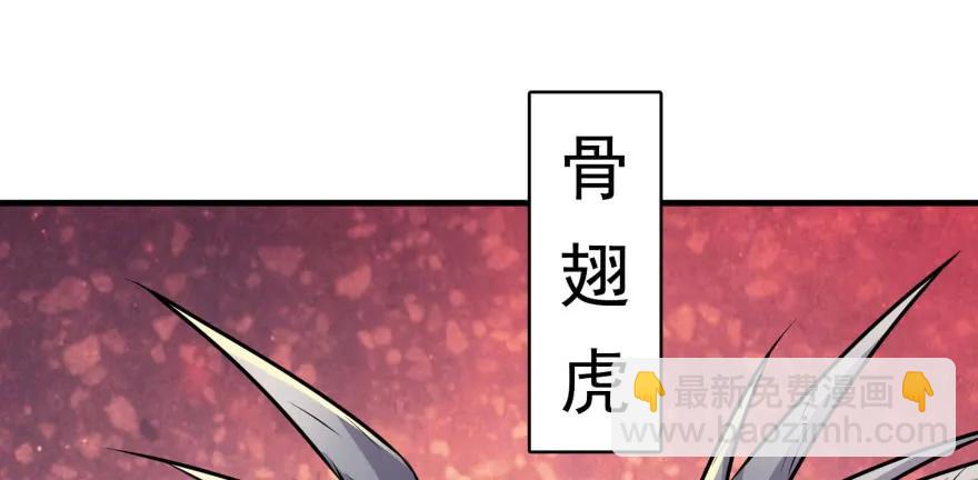 092斗兽76