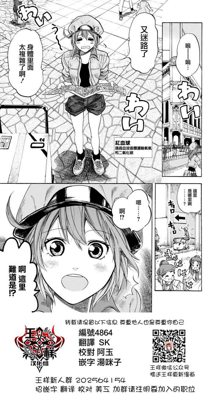 第7话 有核红细胞和骨髓细胞0