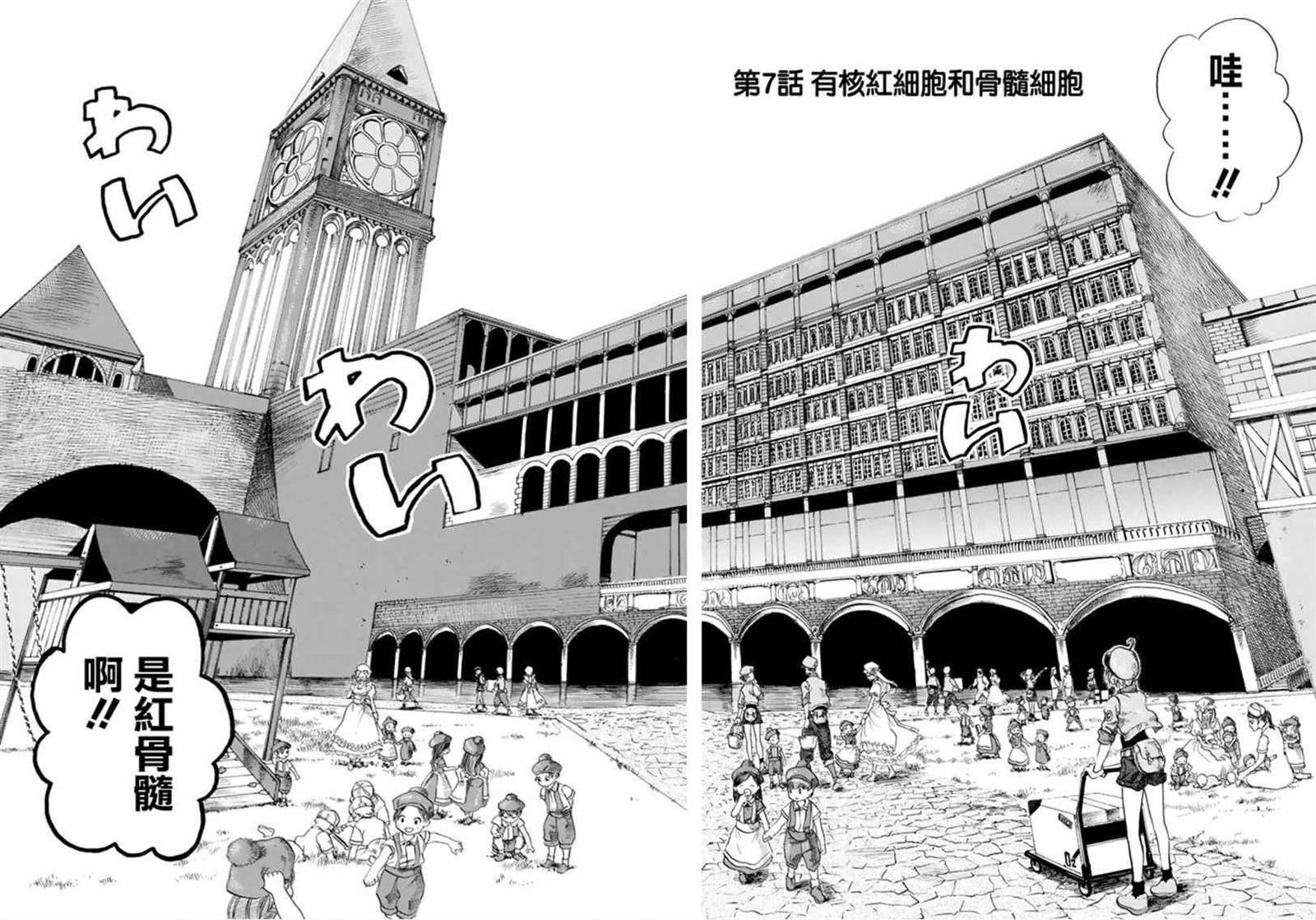 第7话 有核红细胞和骨髓细胞1