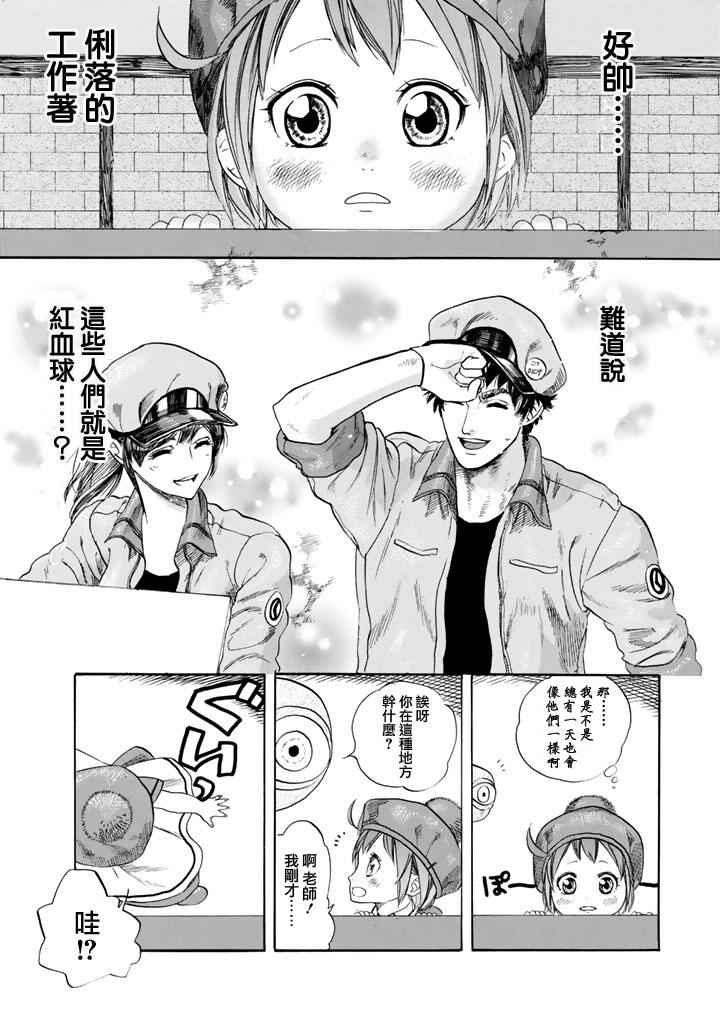 第7话 有核红细胞和骨髓细胞11