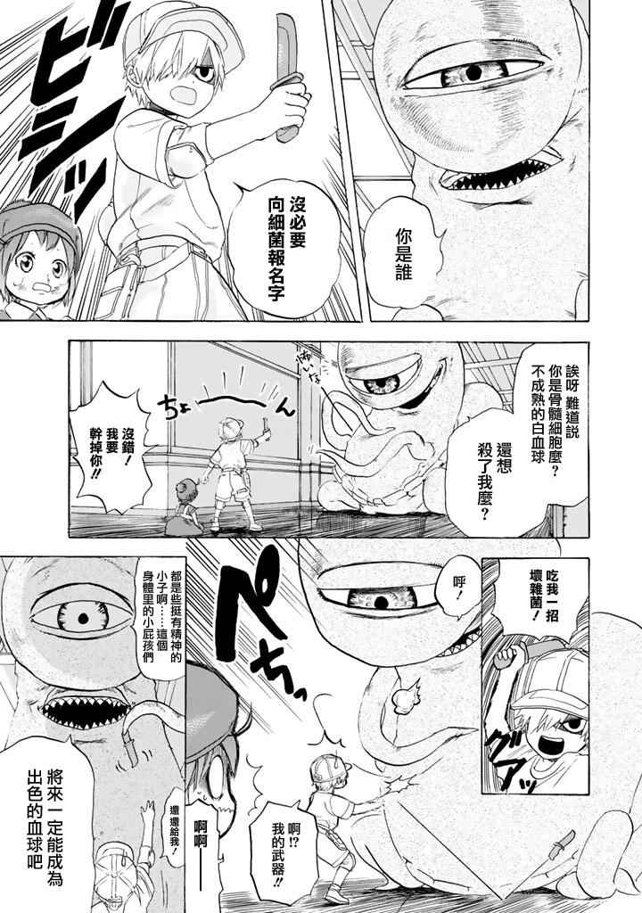 第7话 有核红细胞和骨髓细胞19