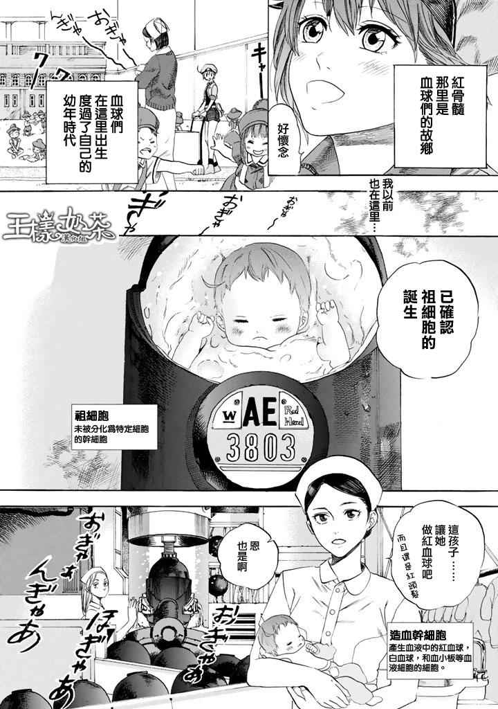 第7话 有核红细胞和骨髓细胞2