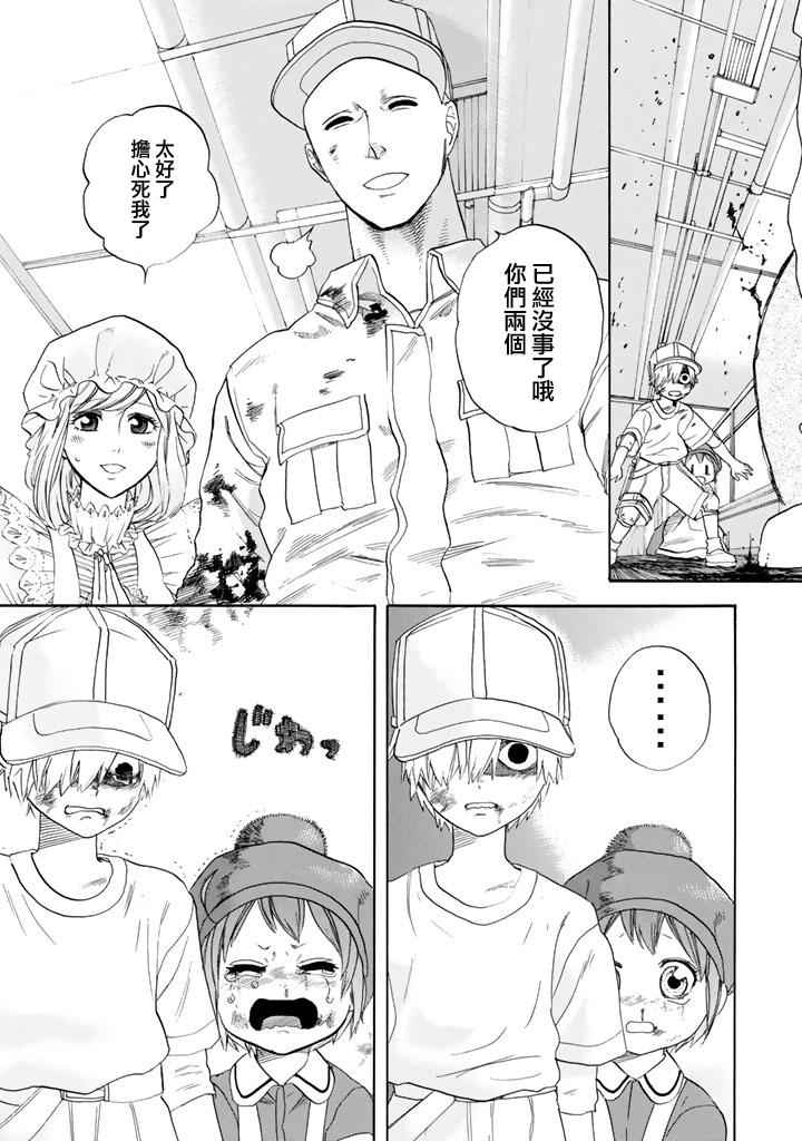 第7话 有核红细胞和骨髓细胞23
