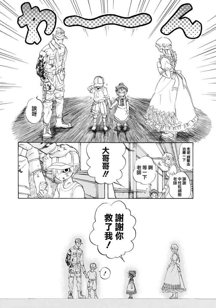 第7话 有核红细胞和骨髓细胞24