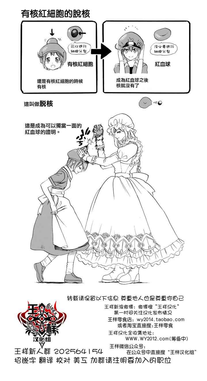 第7话 有核红细胞和骨髓细胞29