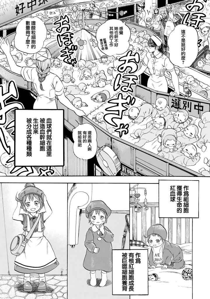 第7话 有核红细胞和骨髓细胞3