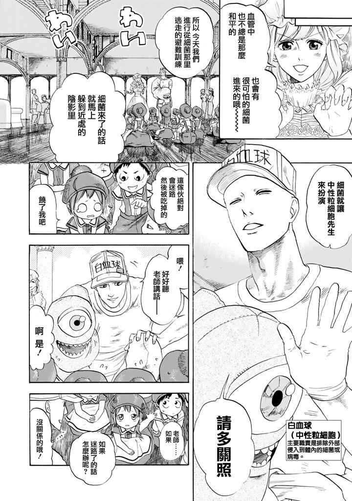 第7话 有核红细胞和骨髓细胞6