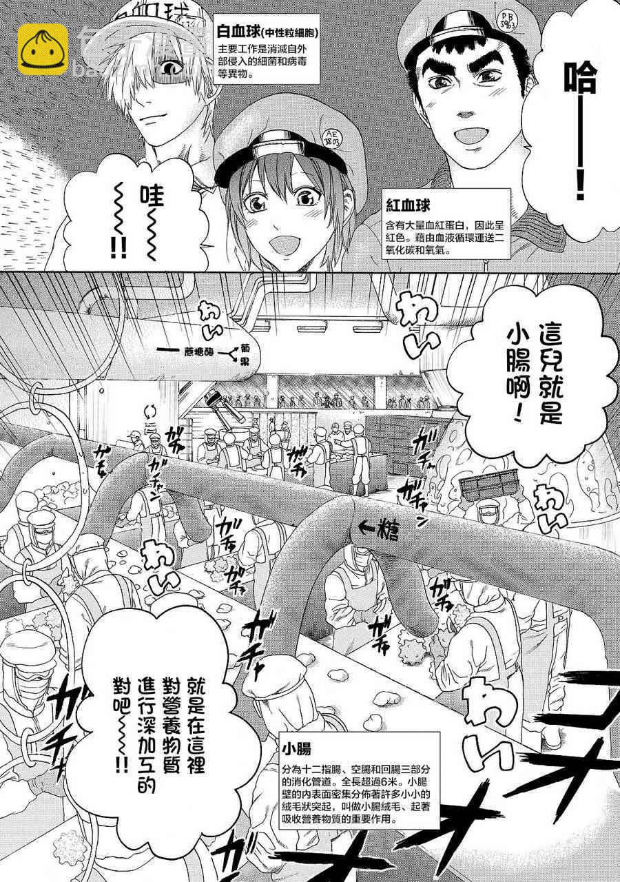 第19话 派伊尔淋巴结1