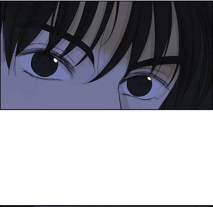 6446