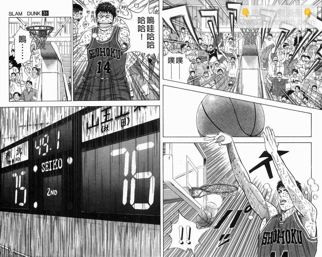 第31卷31