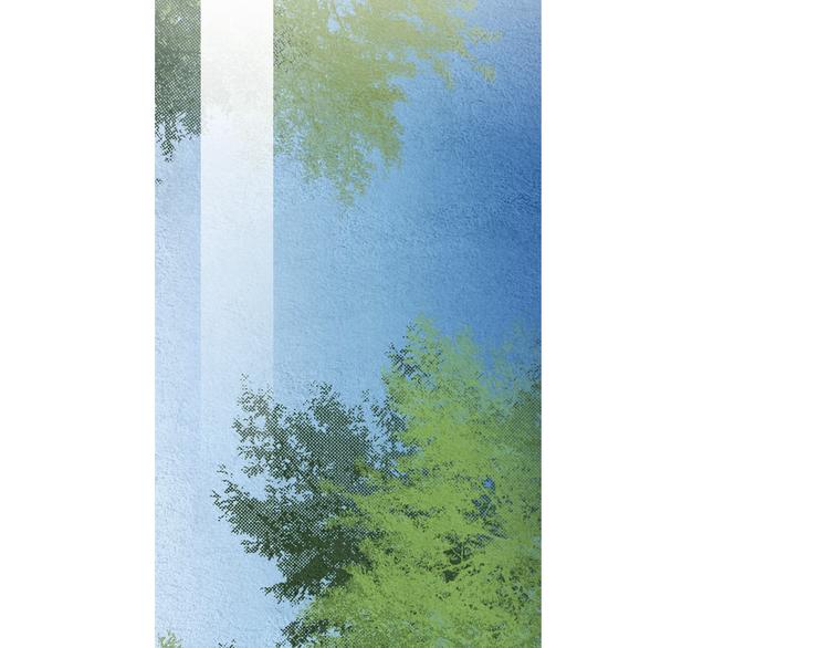 第141话 恼羞成怒82