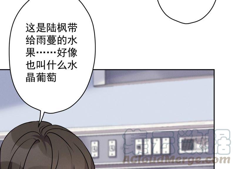 第104话 真假水晶葡萄21