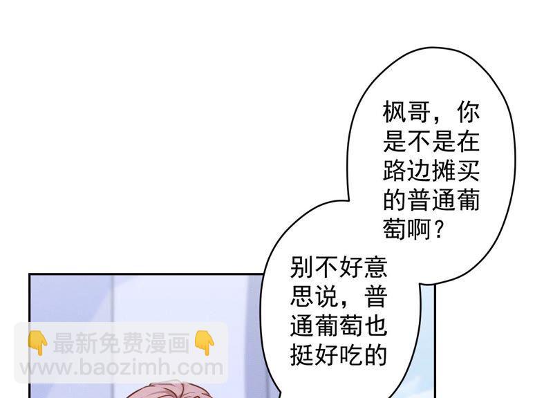 第104话 真假水晶葡萄35