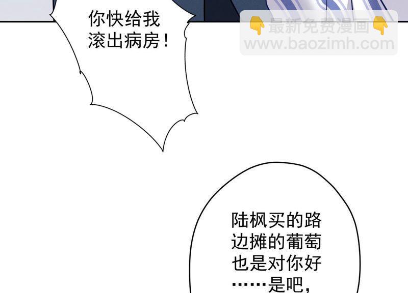 第104话 真假水晶葡萄44