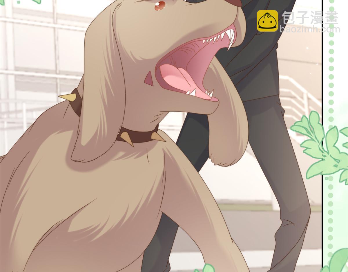 第113话 獒犬地瓜25