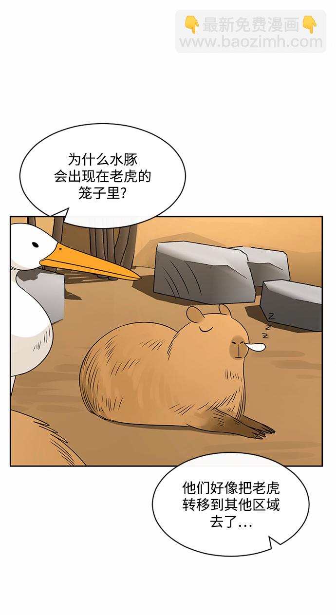 第41话7