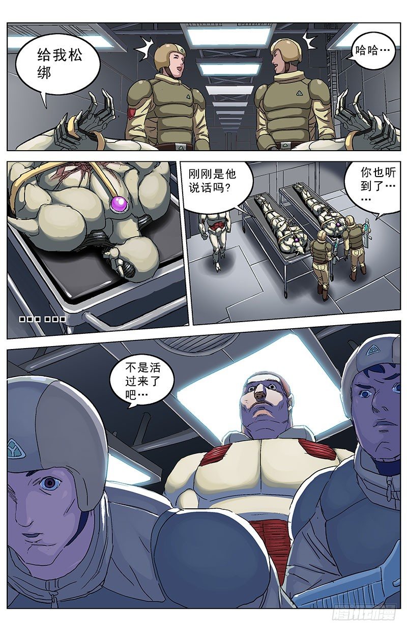 131树倒0