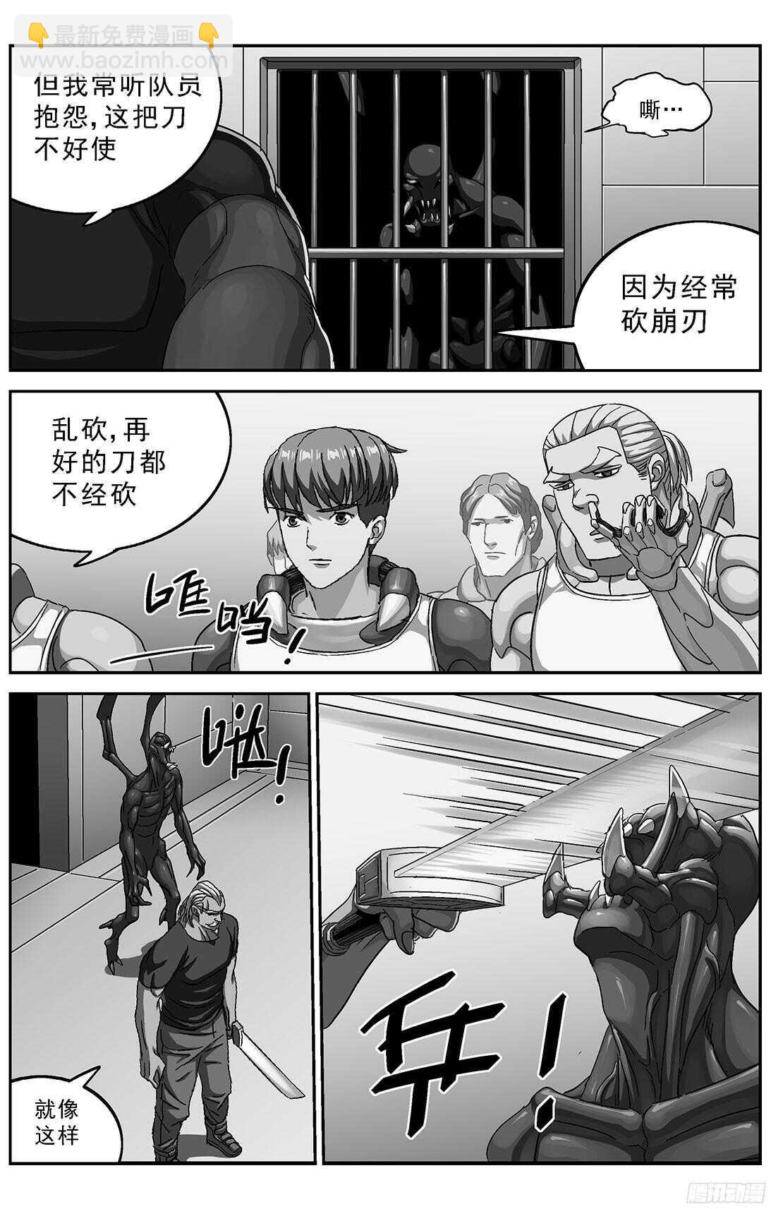 256专家1