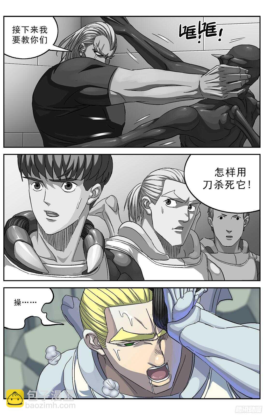 256专家3