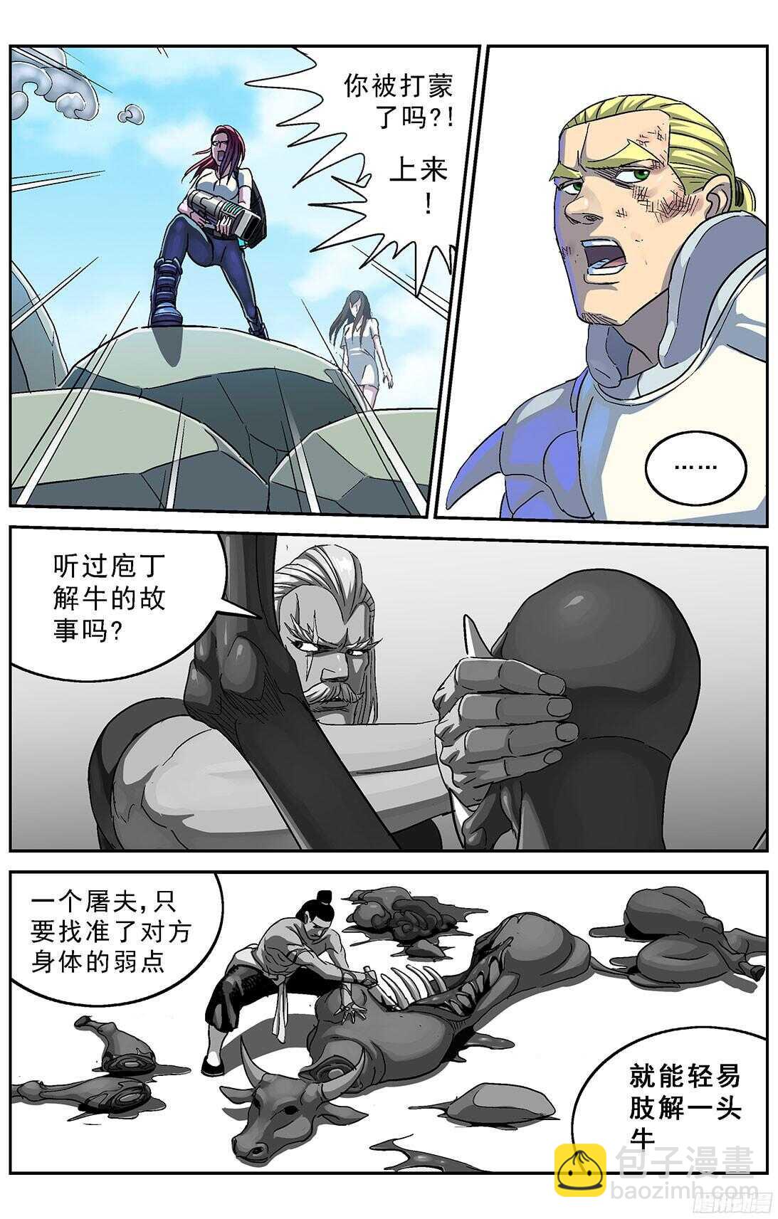 256专家5
