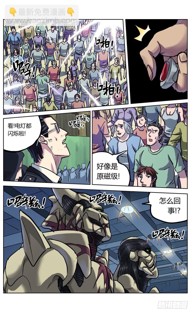367预测11