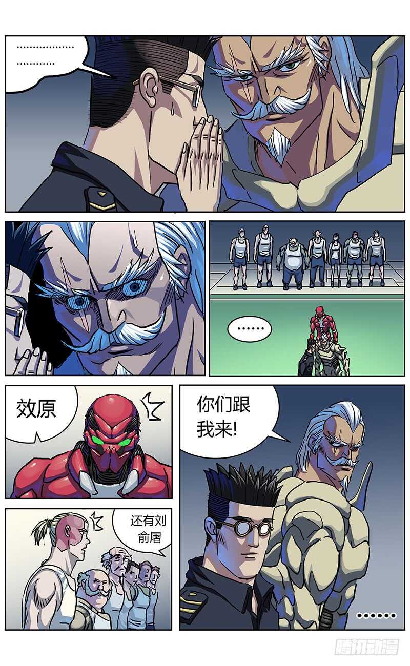 316诱饵14